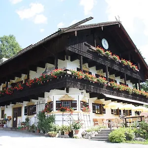 Blauer Gamsbock Kiefersfelden
